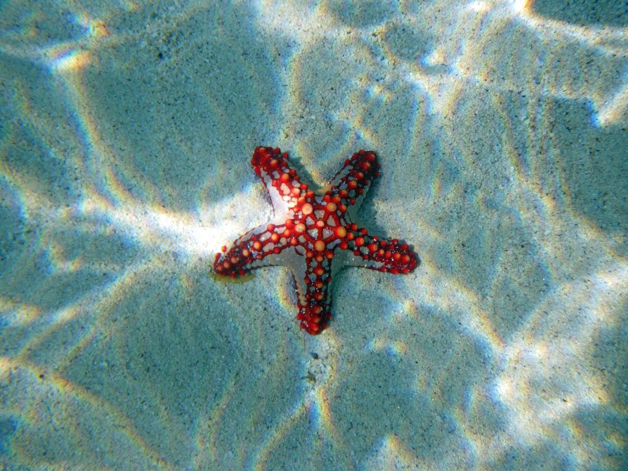 Twiga Beach Resort & Spa Watamu Exteriér fotografie